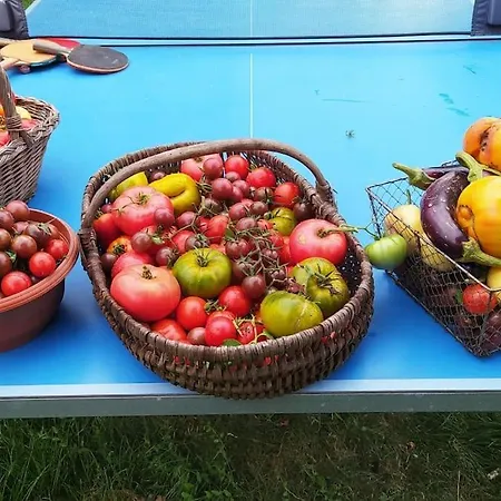La Ferme Du Tilleul D Hotes Conforts - Familiale - Entre Amis - Pro 3*