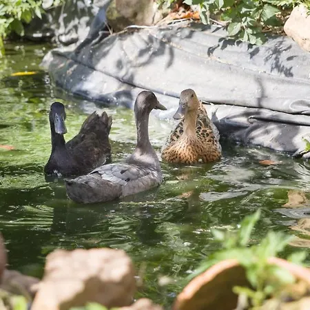 La Ferme Du Tilleul D Hotes Conforts - Familiale - Entre Amis - Pro Conchy-les-Pots