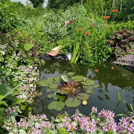La Ferme Du Tilleul D Hotes Conforts - Familiale - Entre Amis - Pro