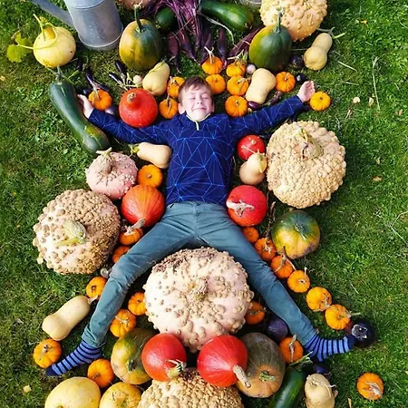 La Ferme Du Tilleul D Hotes Conforts - Familiale - Entre Amis - Pro Conchy-les-Pots