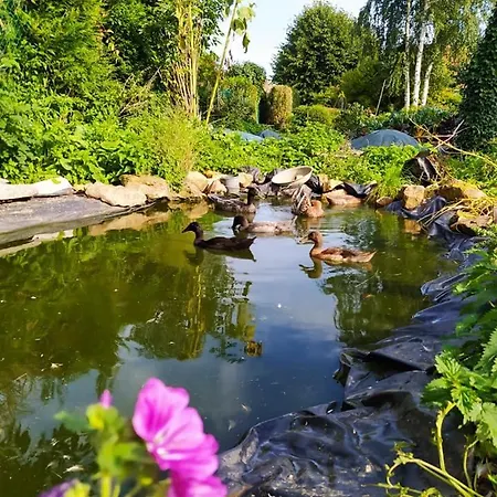 Gasthuis La Ferme Du Tilleul D Hotes Conforts - Familiale - Entre Amis - Pro Conchy-les-Pots