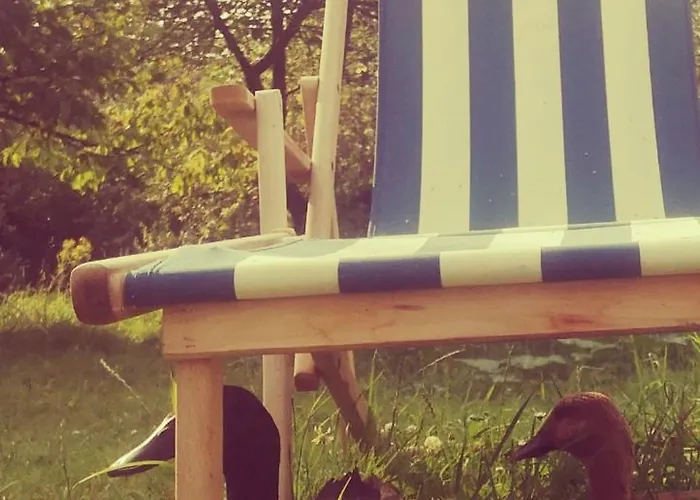 Maison d'hôtes La Ferme Du Tilleul D Hôtes Conforts - Familiale - Entre Amis - Pro 3*