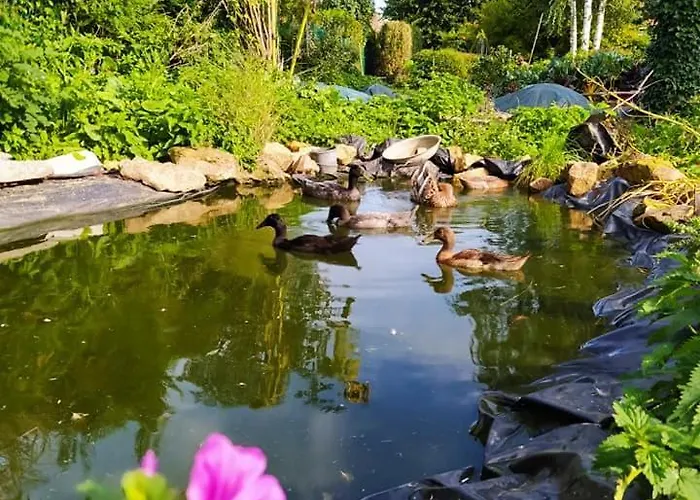 Maison d'hôtes La Ferme Du Tilleul D Hôtes Conforts - Familiale - Entre Amis - Pro Conchy-les-Pots
